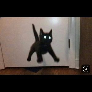 Meet your Posher, Mackenzie